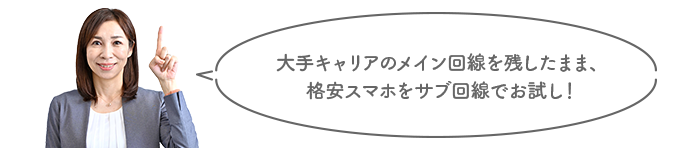 大手キャリアのメイン回線を残したまま、格安スマホをサブ回線でお試し!
