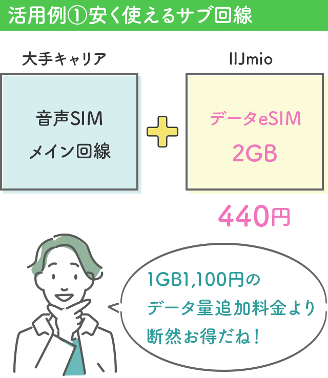 活用例①安く使えるサブ回線